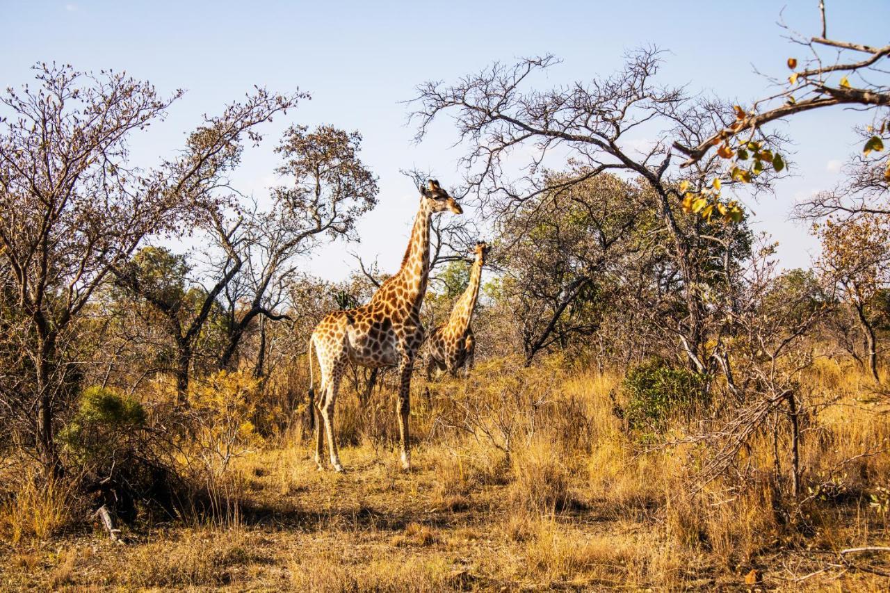 Fumani Game Lodge Modimolle